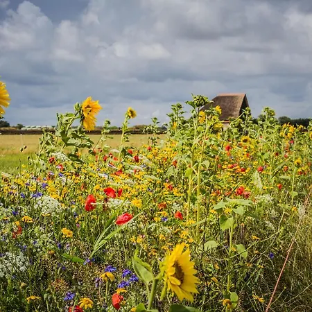 Bed En Bike Strunen Op Texel