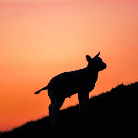 Bed En Bike Strunen Op Texel Casa de hóspedes 3*