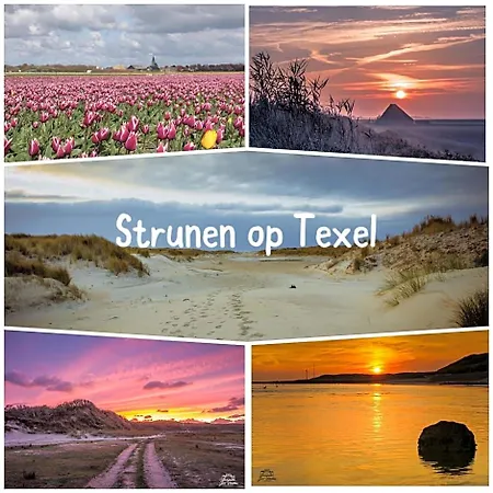 Bed En Bike Strunen Op Texel Guest house Den Burg