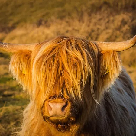 Bed En Bike Strunen Op Texel Affittacamere