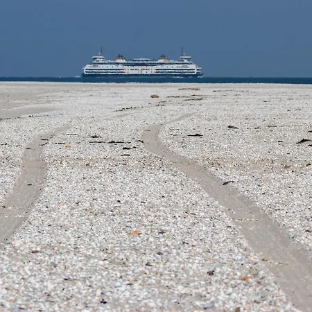 Bed En Bike Strunen Op Texel